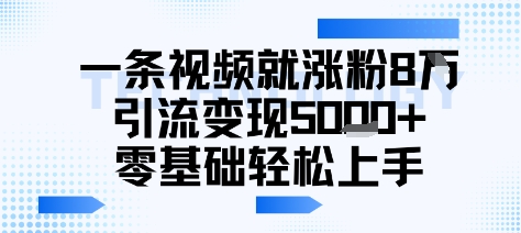 一条视频就涨粉8W引流变现5k+，0基础项目轻松上手_抖汇吧