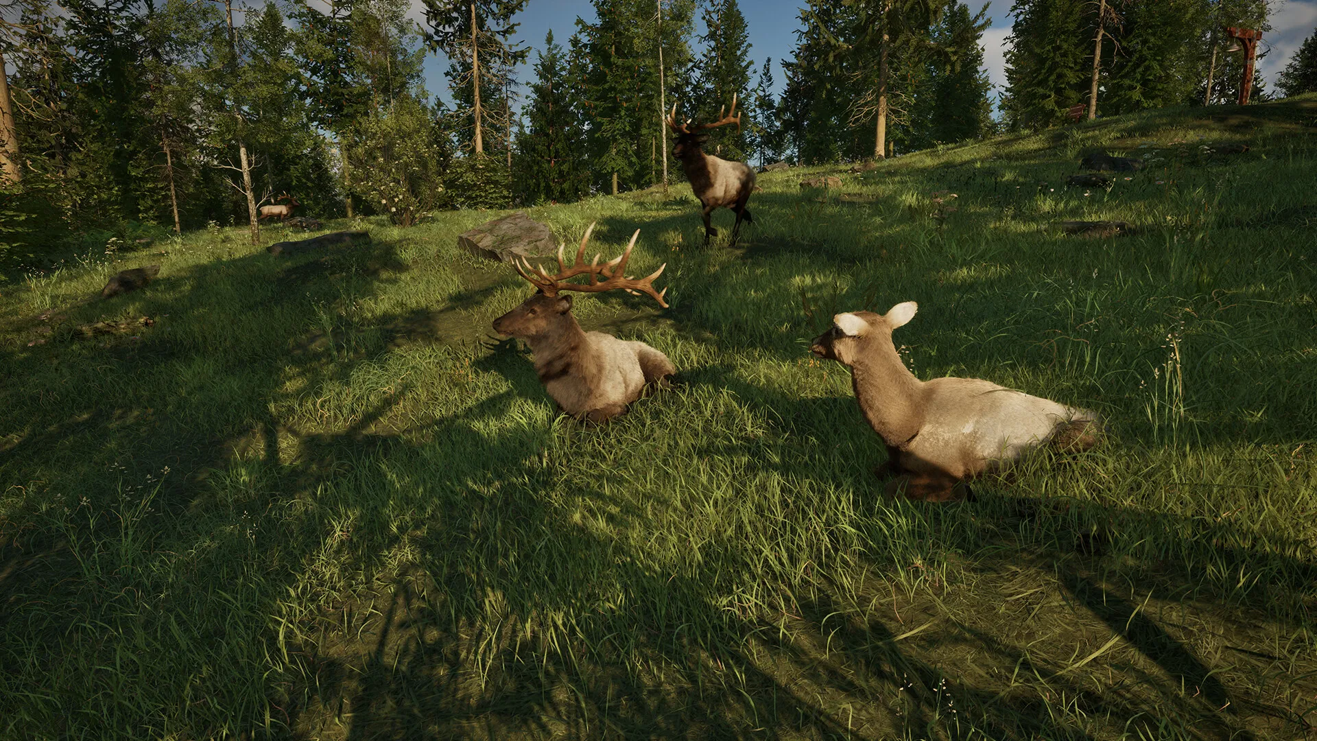 护林员之路：国家公园模拟器/Ranger’s Path: National Park Simulator_抖汇吧