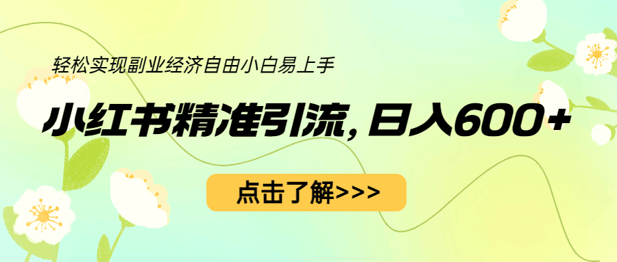 小红书精准引流，小白日入600+，轻松实现副业经济自由（教程+1153G资源）_抖汇吧