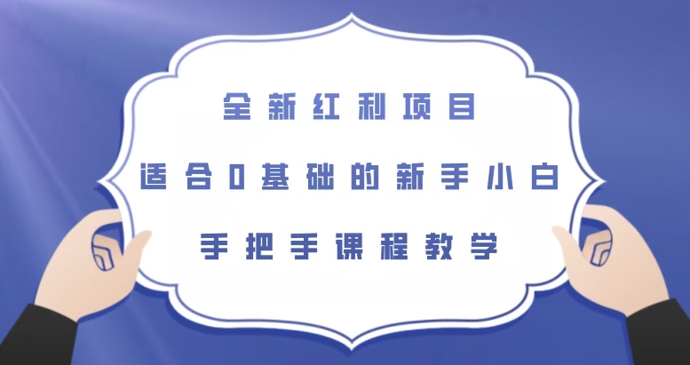 全新红利项目，零基础新手也能轻松上手【揭秘】_抖汇吧