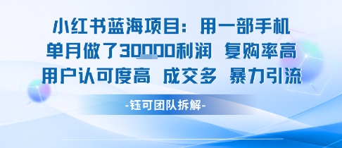 小红书蓝海项目，一部手机单月做了3W利润，小白也能月入过1W用户认可度高成交多_抖汇吧