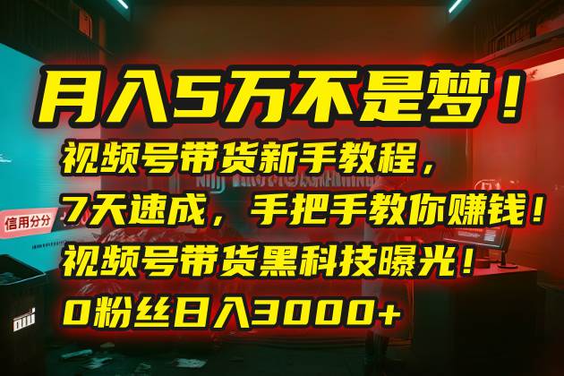 （15595期）月入5万不是梦！视频号带货新手教程，7天速成，手把手教你赚钱！视频号…_抖汇吧
