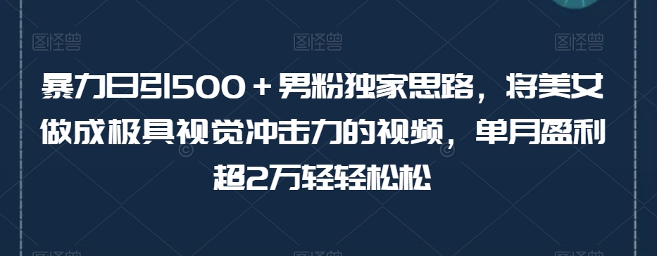 男粉独家思路：极具视觉冲击力的美女视频变现，单月盈利超2万轻松达成【揭秘】_抖汇吧