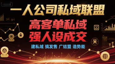 一人公司私域联盟，高客单私域，强人设成交，建私域 搞发售 广结盟 造势能_抖汇吧