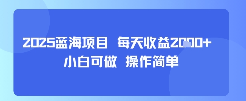 2025蓝海项目 每天收益多张 小白可做 操作简单_抖汇吧