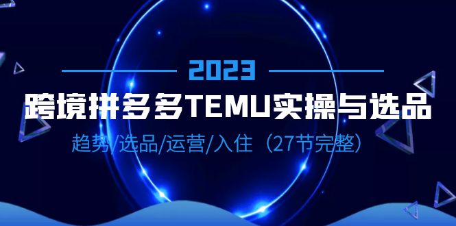 2023跨境拼多多TEMU实操与选品，趋势选品运营全解析（27节完整）_抖汇吧