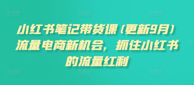 小红书笔记带货课(更新25年6月)流量电商新机会，抓住小红书的流量红利_抖汇吧