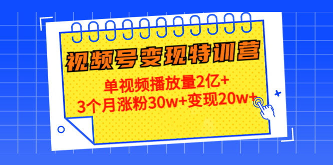 20天视频号变现特训营：单视频播放量2亿+3个月涨粉30w+变现20w+_抖汇吧