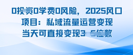 0学费0风险，2025风口项目：私域流量运营变现，当天可直接变现_抖汇吧