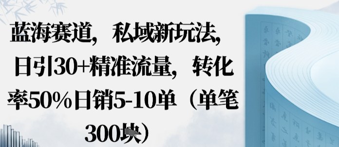 蓝海赛道，私域新玩法，日引30+精准流量，转化率50%日销5-10单（单笔3张）_抖汇吧