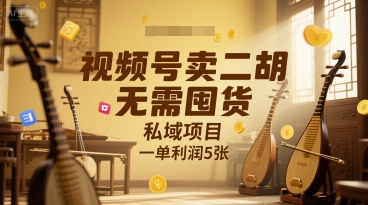视频号卖二胡，无需囤货，私域项目，一单利润5张_抖汇吧
