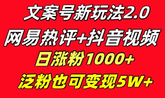 文案号新玩法：网易热评+抖音文案 一天涨粉1000+ 多种变现模式 泛粉也可变现_抖汇吧