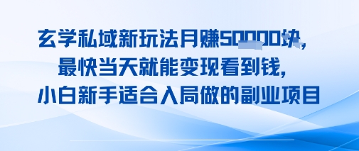 玄学私域新玩法月入1W+，最快当天就能变现看到米，小白新手适合入局做的副业项目_抖汇吧
