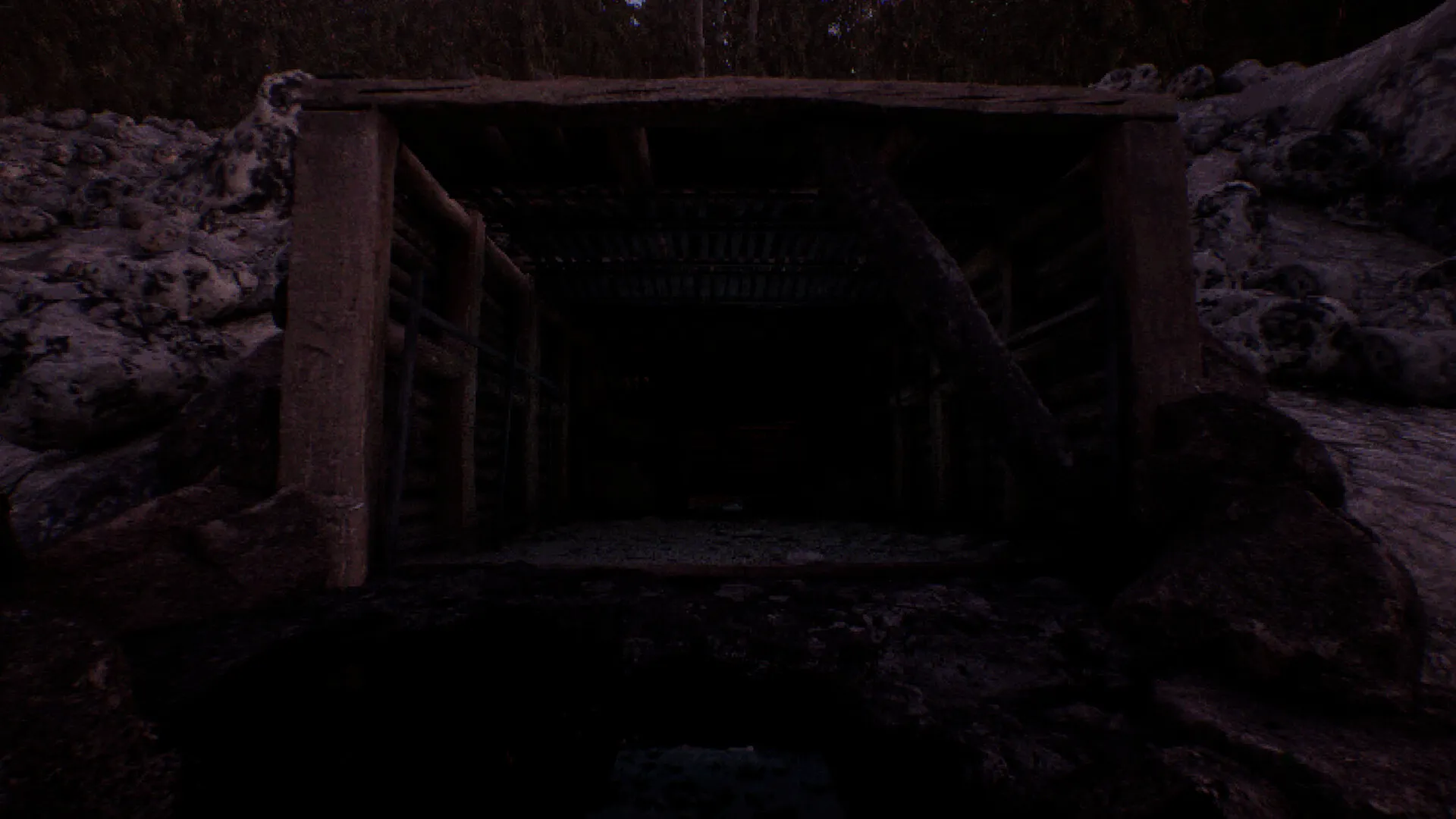 凝视之林：虱子/The Watching Woods: The Louse