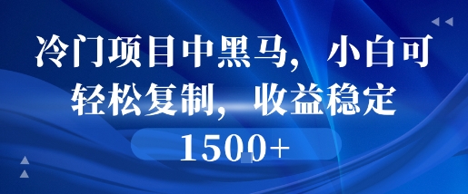 冷门项目中黑马，小白可轻松复制，收益稳定1.5k_抖汇吧