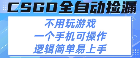 CSGO自动捡漏项目，最新独家玩法，不用挂G不用玩游戏，一个手机即可操作，新手小白轻松月入1W+【揭秘】_抖汇吧