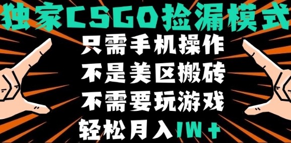 CSGO自动捡漏项目，最新独家玩法，不是美区搬砖，不需要了解和玩游戏，新手小白轻松月入1W+【揭秘】_抖汇吧