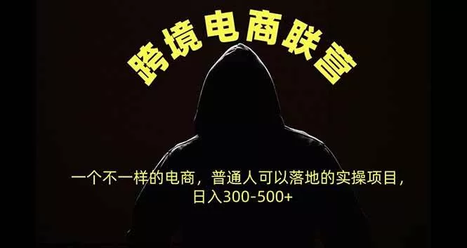 （20702期）跨境电商联营，一个不一样的电商，普通人可操作日入300-500+_抖汇吧