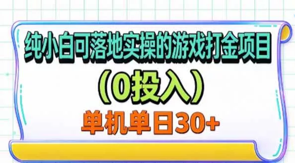 （20993期）纯小白可落地实操的游戏打金项目（0投入）单机单号30+_抖汇吧