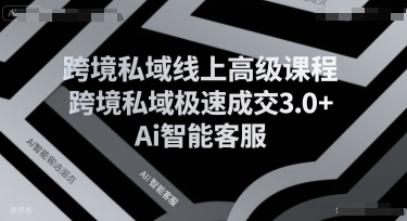 跨境私域线上高级课程，跨境私域极速成交3.0+Ai智能客服_抖汇吧
