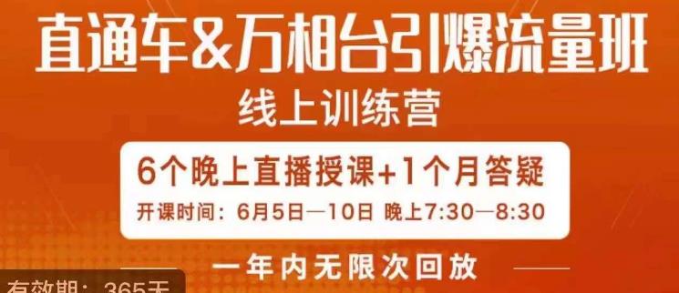 直通车&万相台引爆流量班，6天打通你开直通车·万相台的任督二脉_抖汇吧