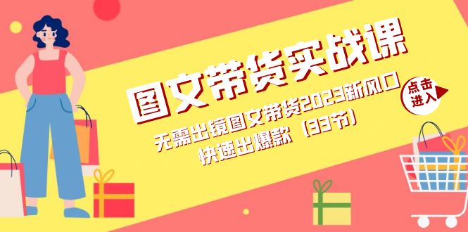 图文带货实战课：无需出镜图文带货2023新风口，快速出爆款（33节）_抖汇吧