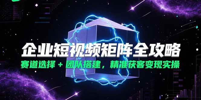 （15242期）企业短视频矩阵全攻略，赛道选择+团队搭建，精准获客变现实操_抖汇吧