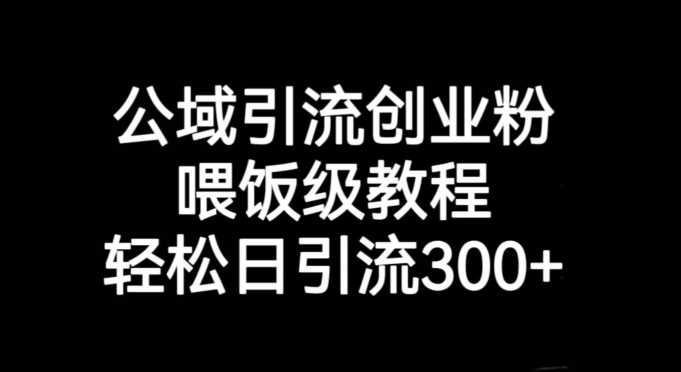 公域如何引流创业粉，轻松日引流300+【引流技巧】_抖汇吧