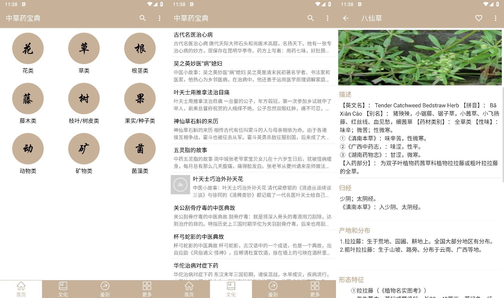 安卓中草药宝典v2.6.12纯净版_抖汇吧
