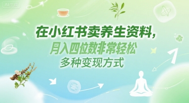 在小红书卖养生资料，月入四位数非常轻松，多种变现方式_抖汇吧