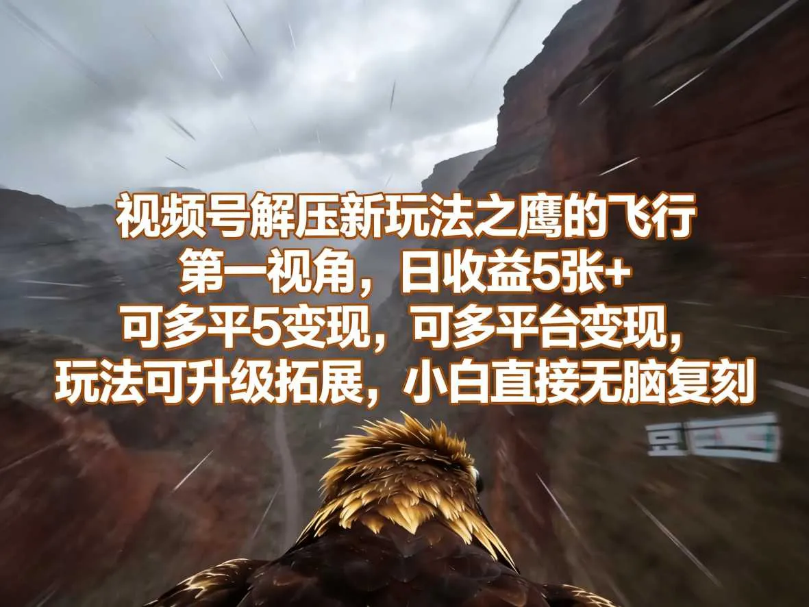 视频号解压新玩法之鹰的飞行第一视角，日收益5张+，可多平台变现，玩法可升级拓展，小白直接无脑复刻_抖汇吧