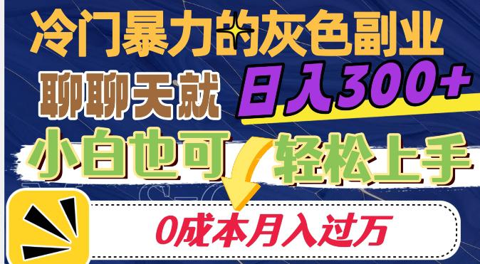 冷门暴利的副业项目，聊聊天就能日入300+，0成本月入过万【揭秘】_抖汇吧