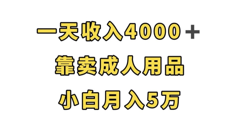 轻松月入5万，靠卖成人用品，一天收入4000+_抖汇吧