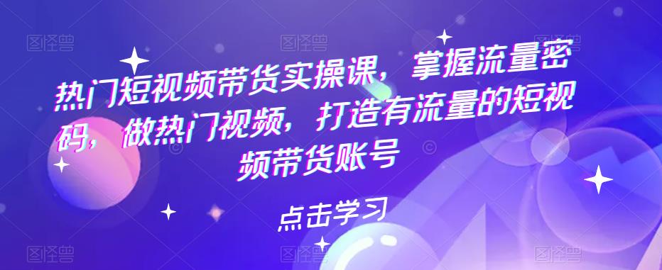 热门短视频带货实战 掌握流量密码 做热门视频 打造有流量的短视频带货账号_抖汇吧