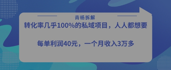 转化率最高的私域项目,每单利润40-50米,月入过1w_抖汇吧