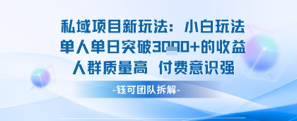私域项目新玩法小白玩法单人单日突破1k的收益人群质量高付费意识强_抖汇吧