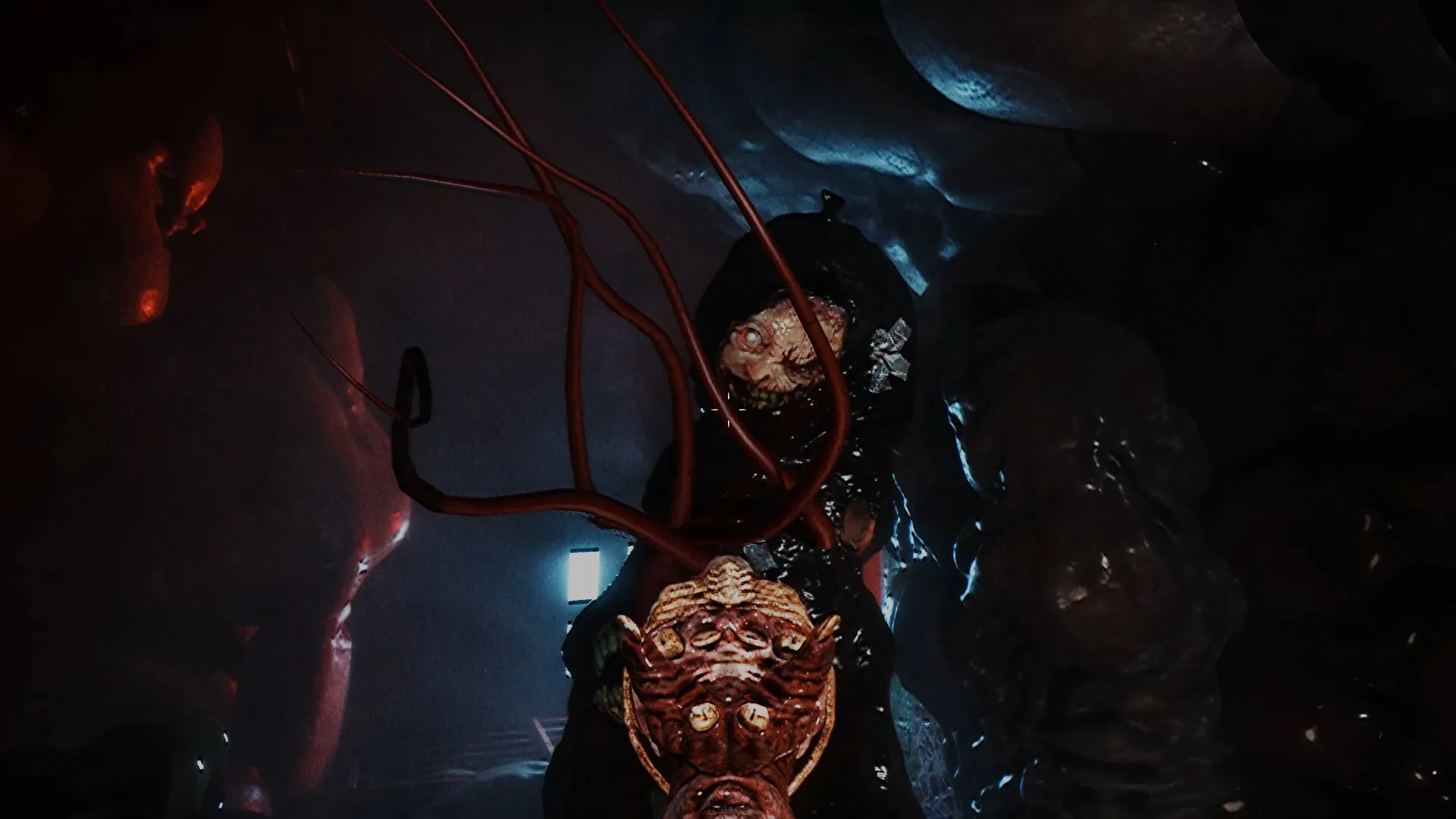 录像怪谈/Dead Format