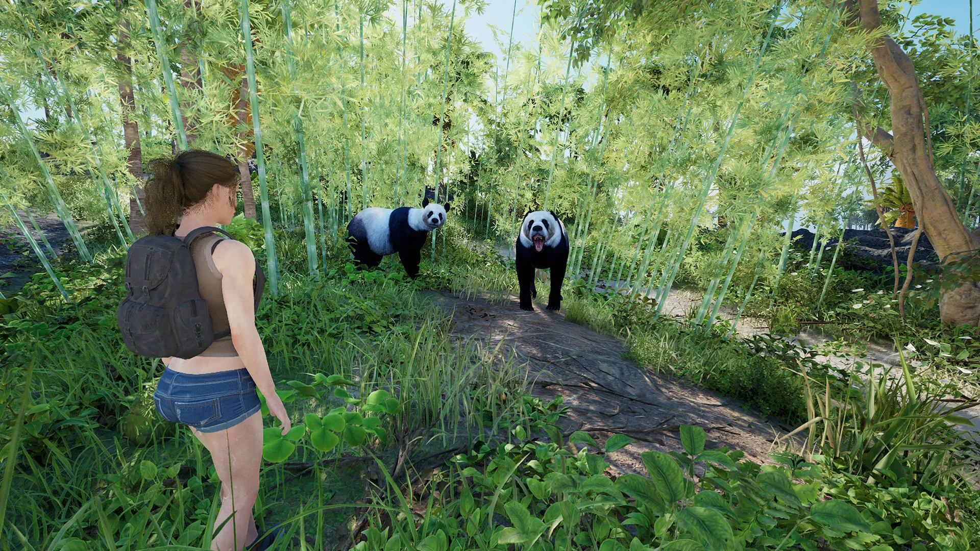 伊甸岛/Eden Island_抖汇吧