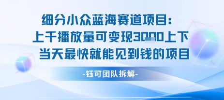 小众蓝海赛道项目：当天变现1k+适合新手操作 +适合长期玩_抖汇吧